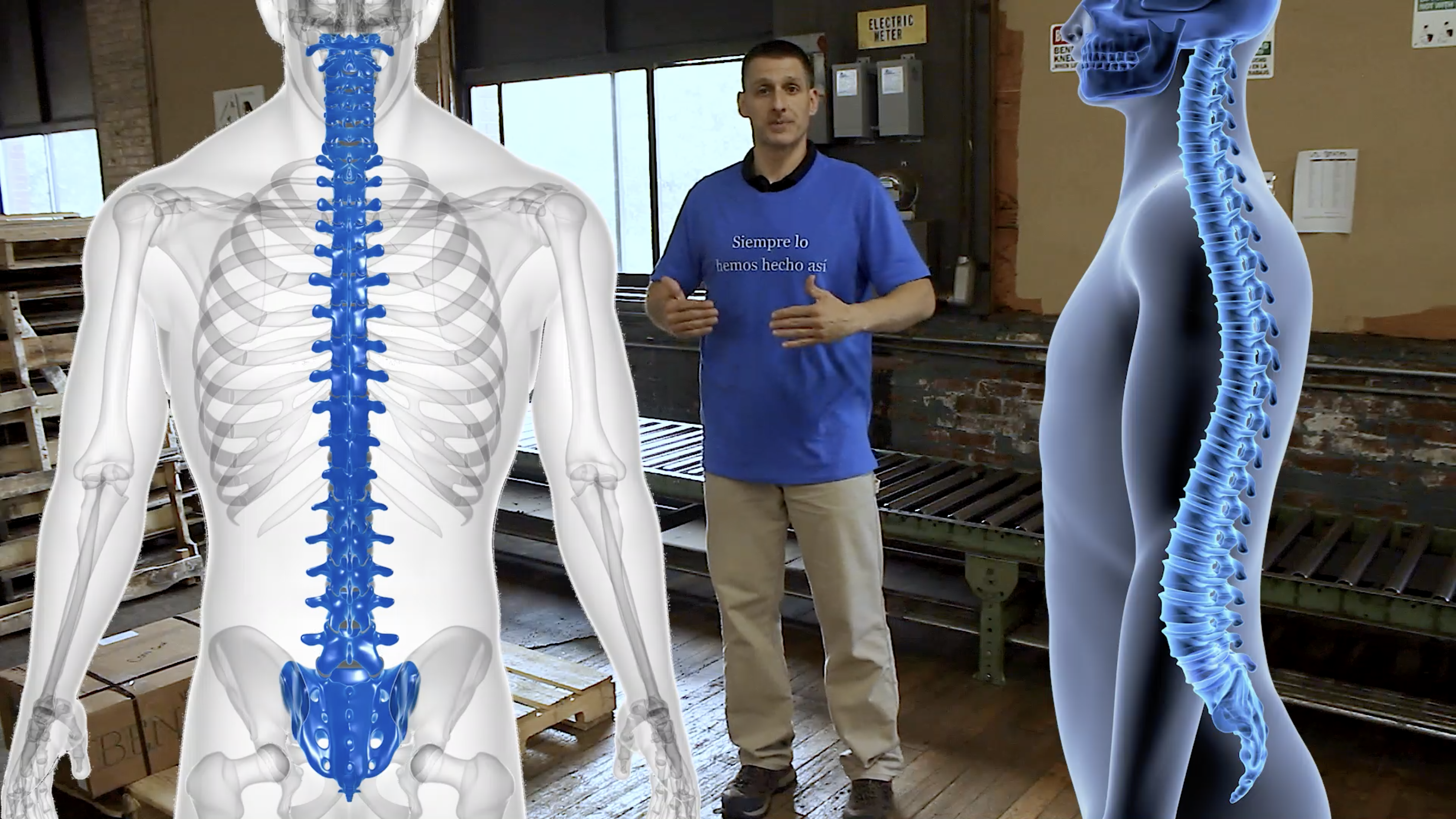 Back, Hands & Wrists