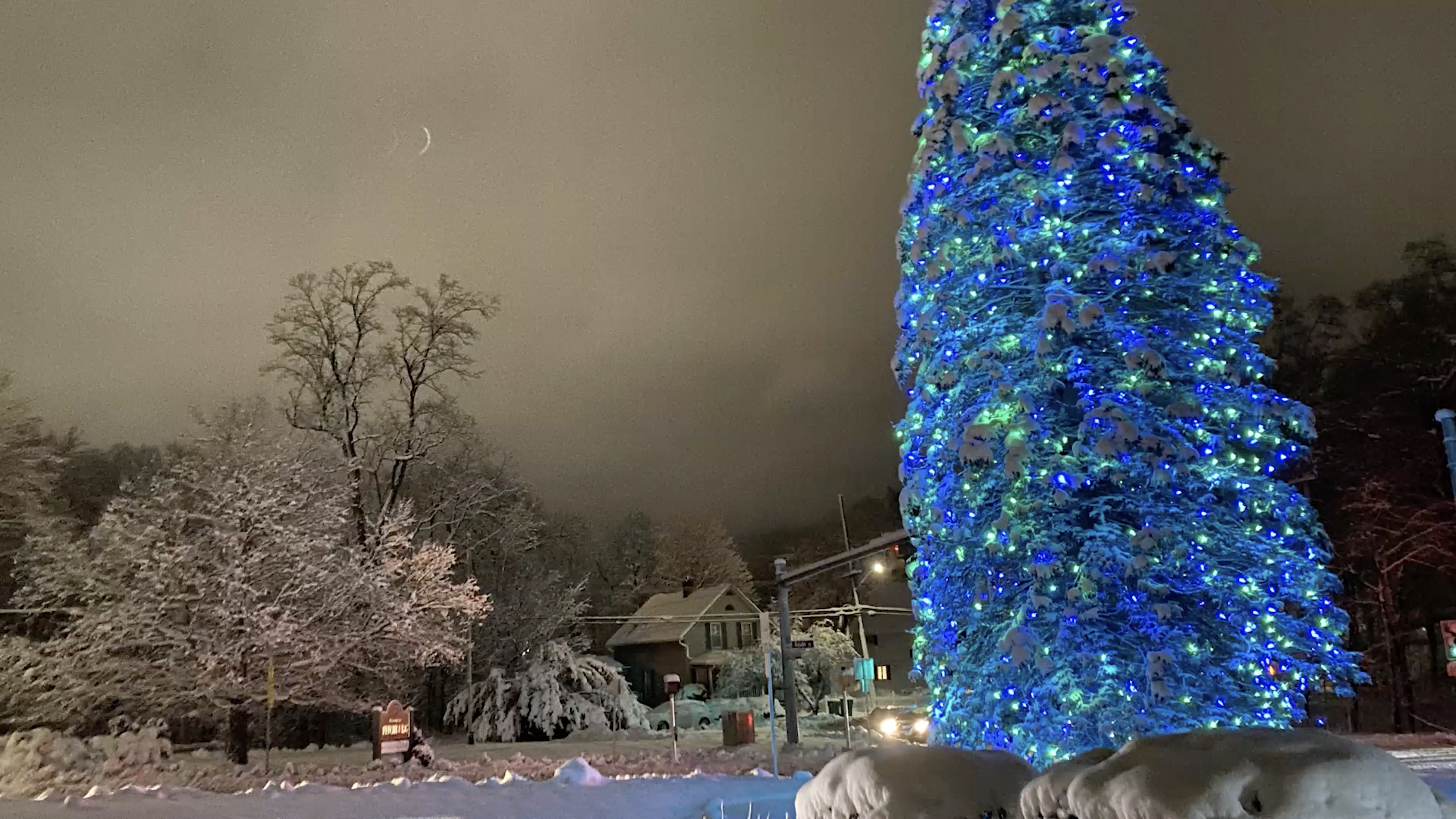 0039 S - Historia verdadera - Electrocutado por árbol - Francisco Michicoj