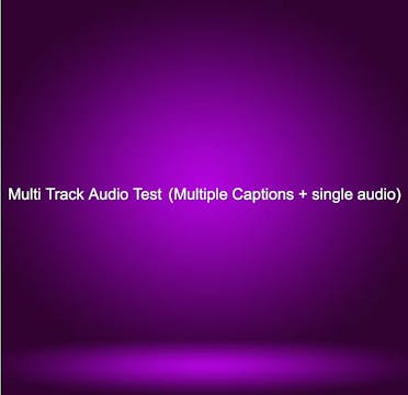 Multi Track Audio Test  (Multiple Cap...