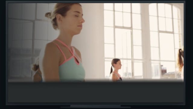 Standard Video 13