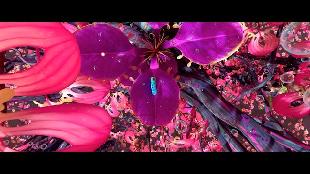 Carousel Video With Featured Artwork