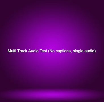 Multi Track Audio Test (No captions, ...