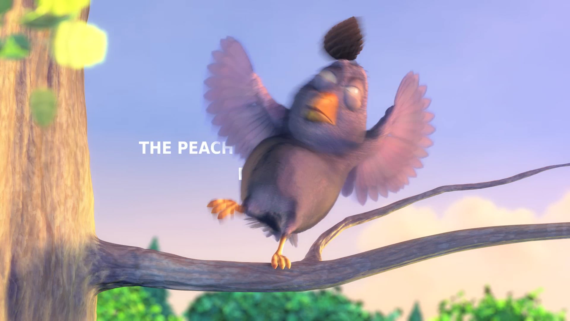 720p H.264 / AAC Stereo / No DRM