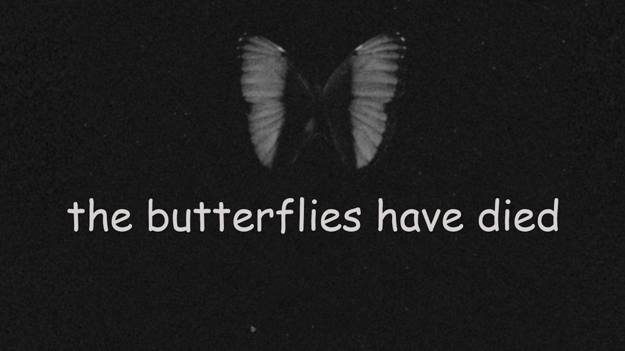 The butterflies have died