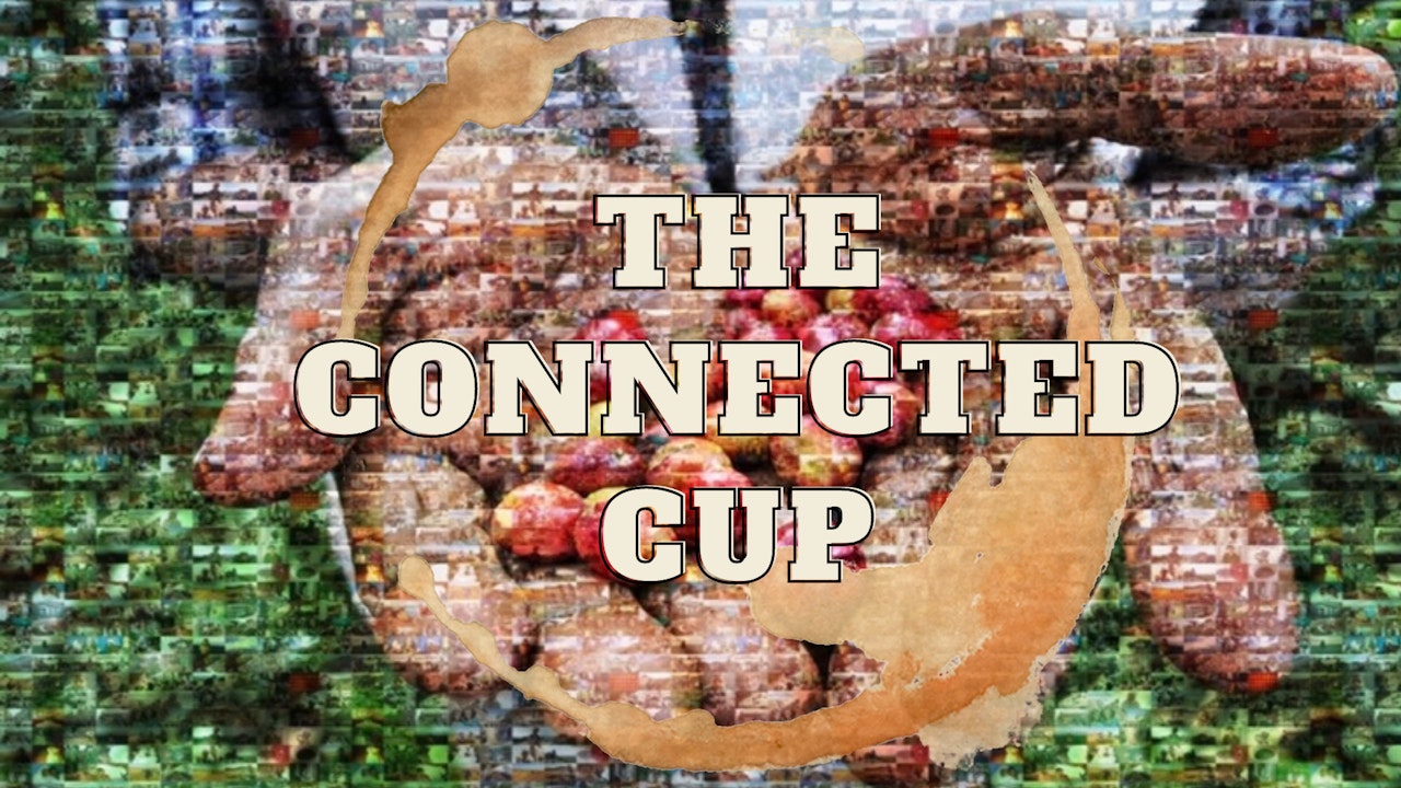 The Connected Cup