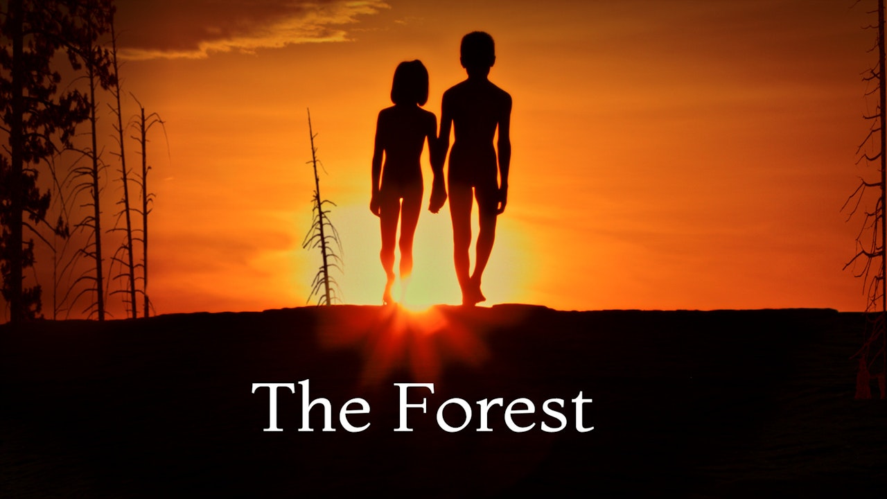 Come to experience. The Forest Постер.