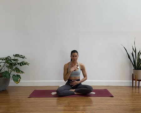 Box Breathing - Breath Work Tutorial
