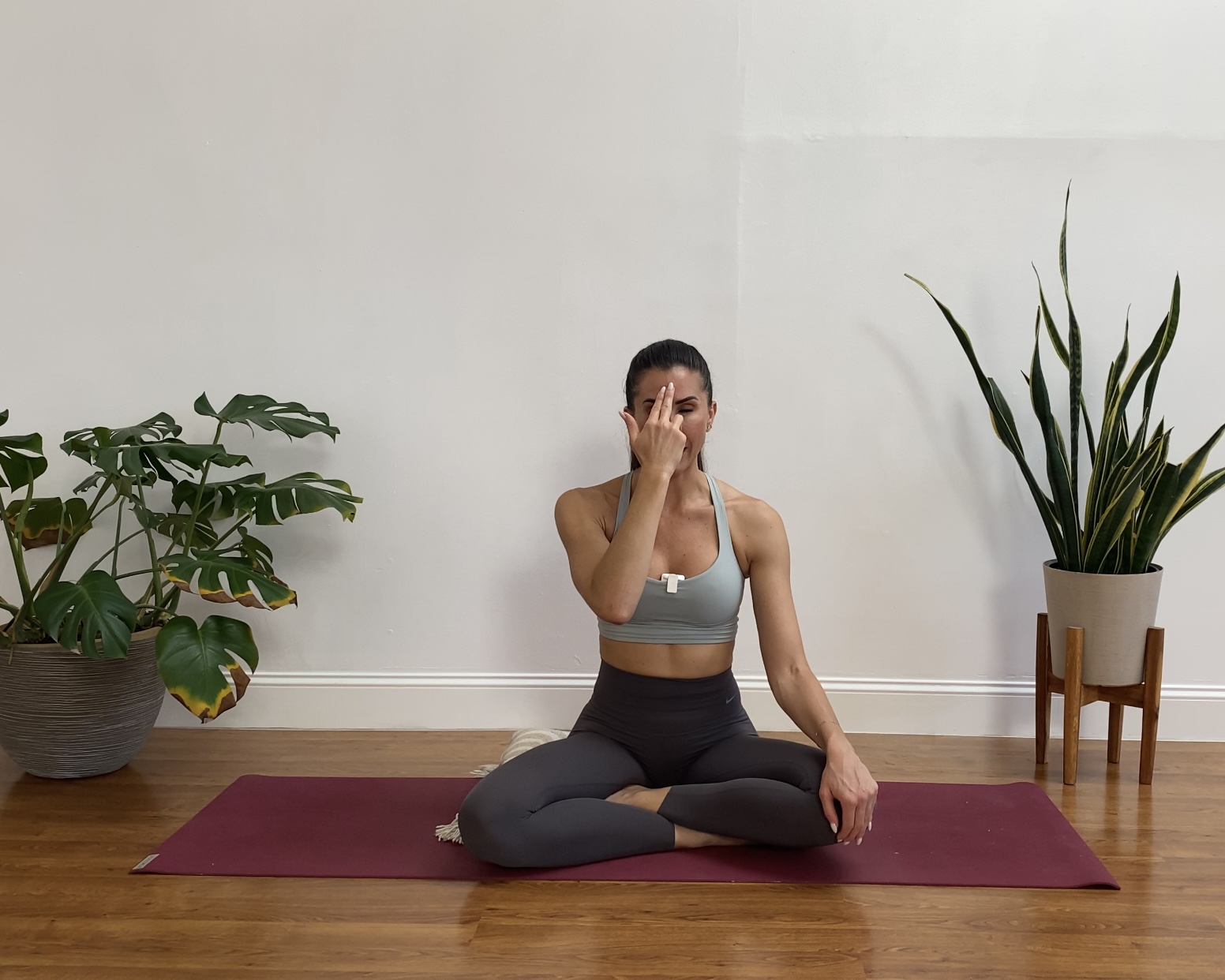 Alternate Nasal Breathing - Breath Work Tutorial