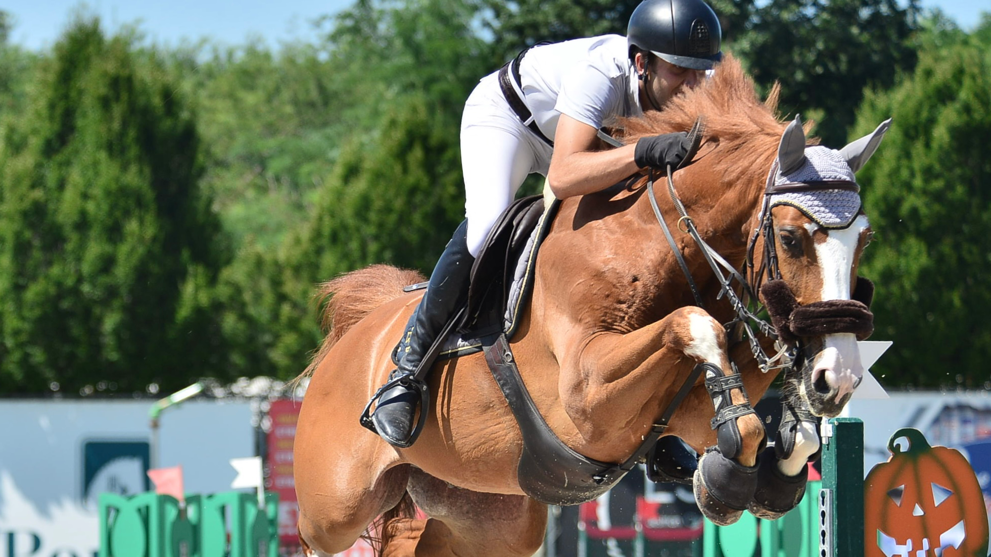 Improving Direction and Control with Equus Academy