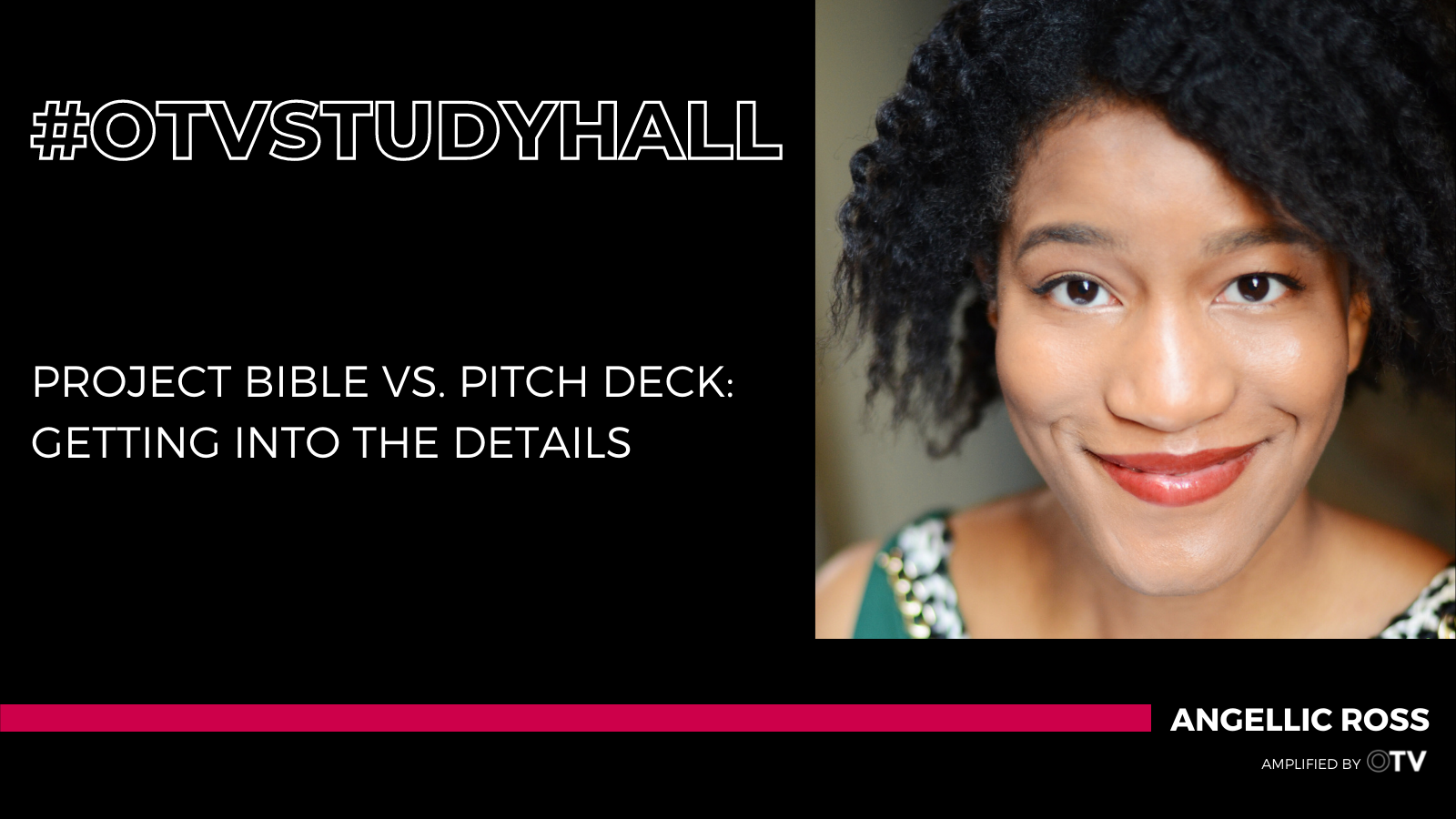 202. Project Bible vs. Pitch Deck