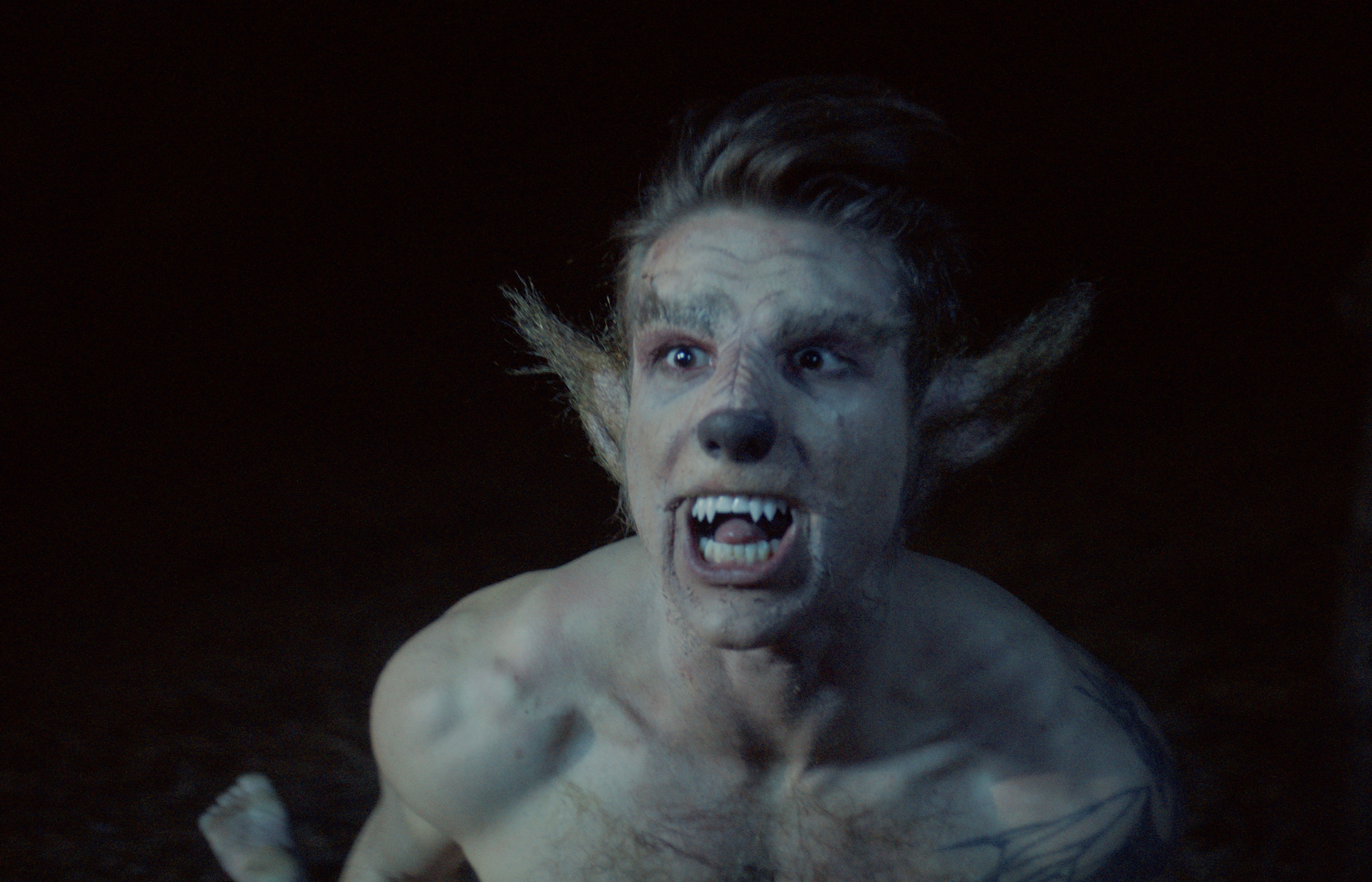 "Frights and Delights" Collection - Playlist