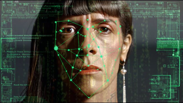 Rota dos Tubarões (Shark Route)