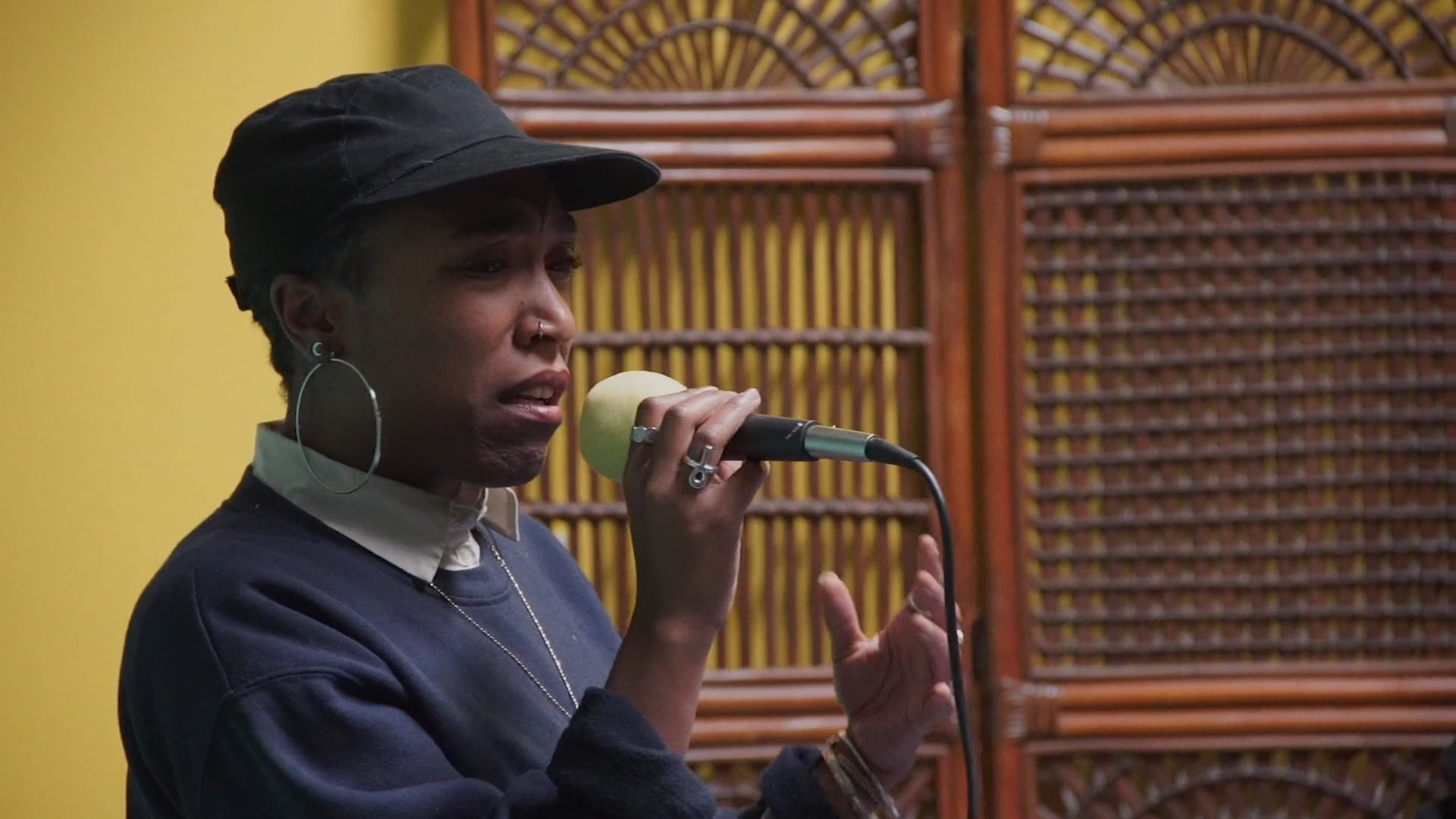 The Hoodoisie - Episode 4: Gentrification is Not Inevitable