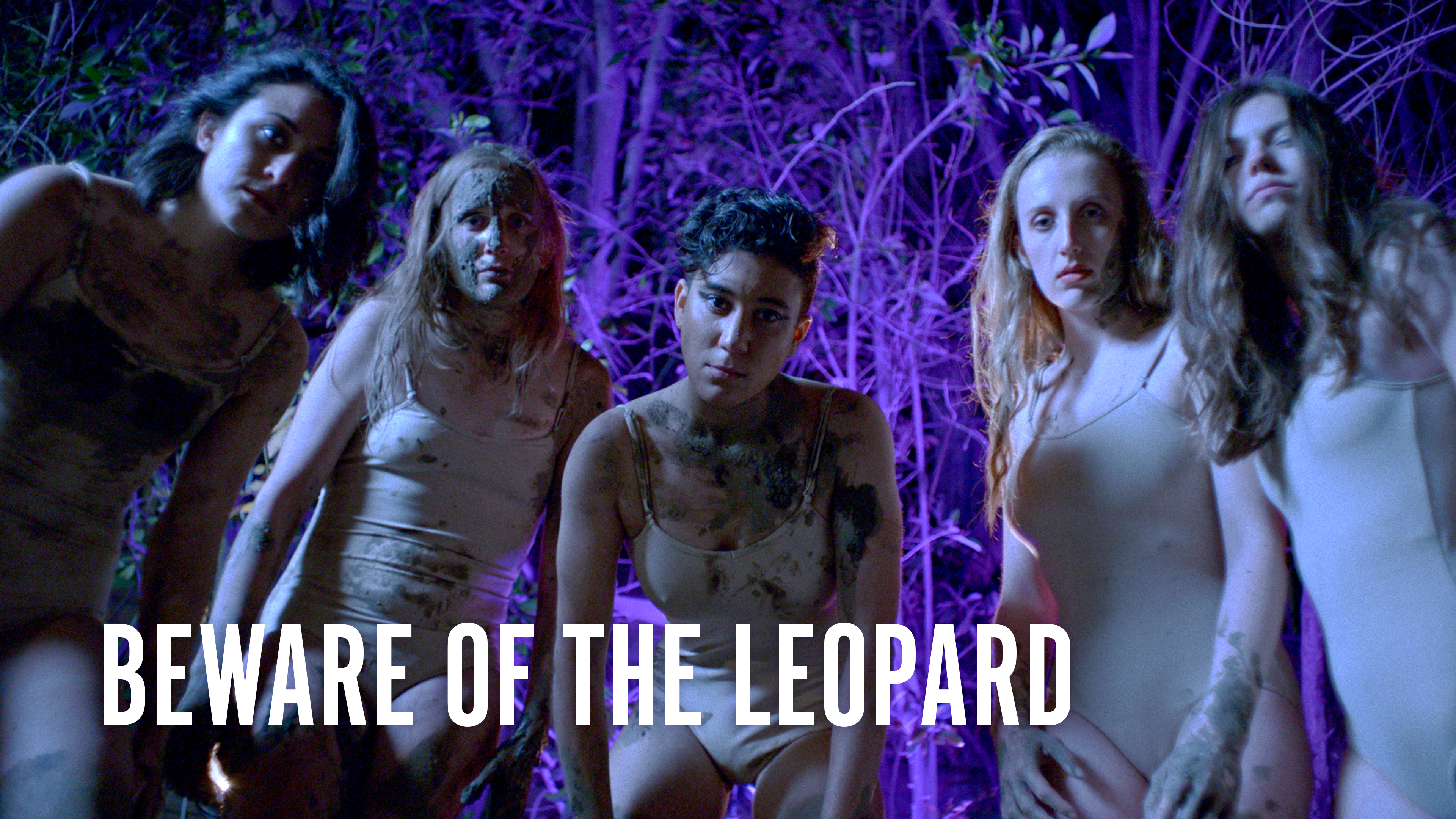 Beware of the Leopard