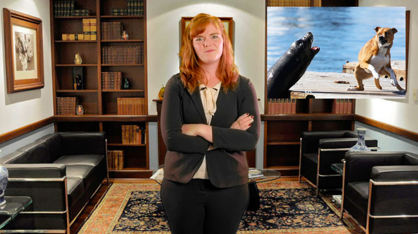 Photo: Behind the Scenes of Models 