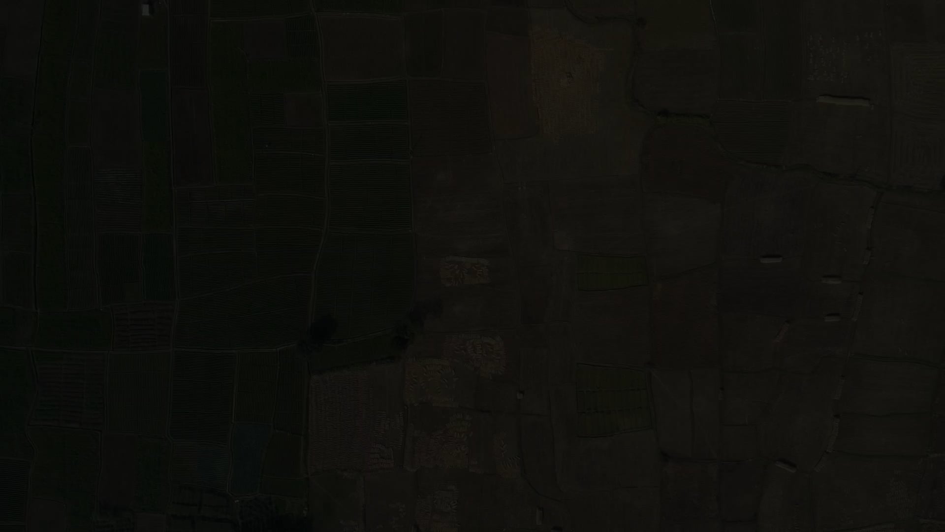 The Last Harvest