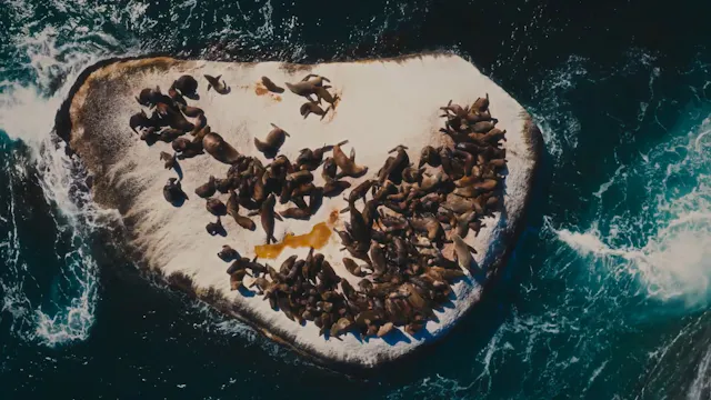 The Voice of the Sea
