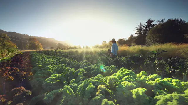 Becoming Nature Positive