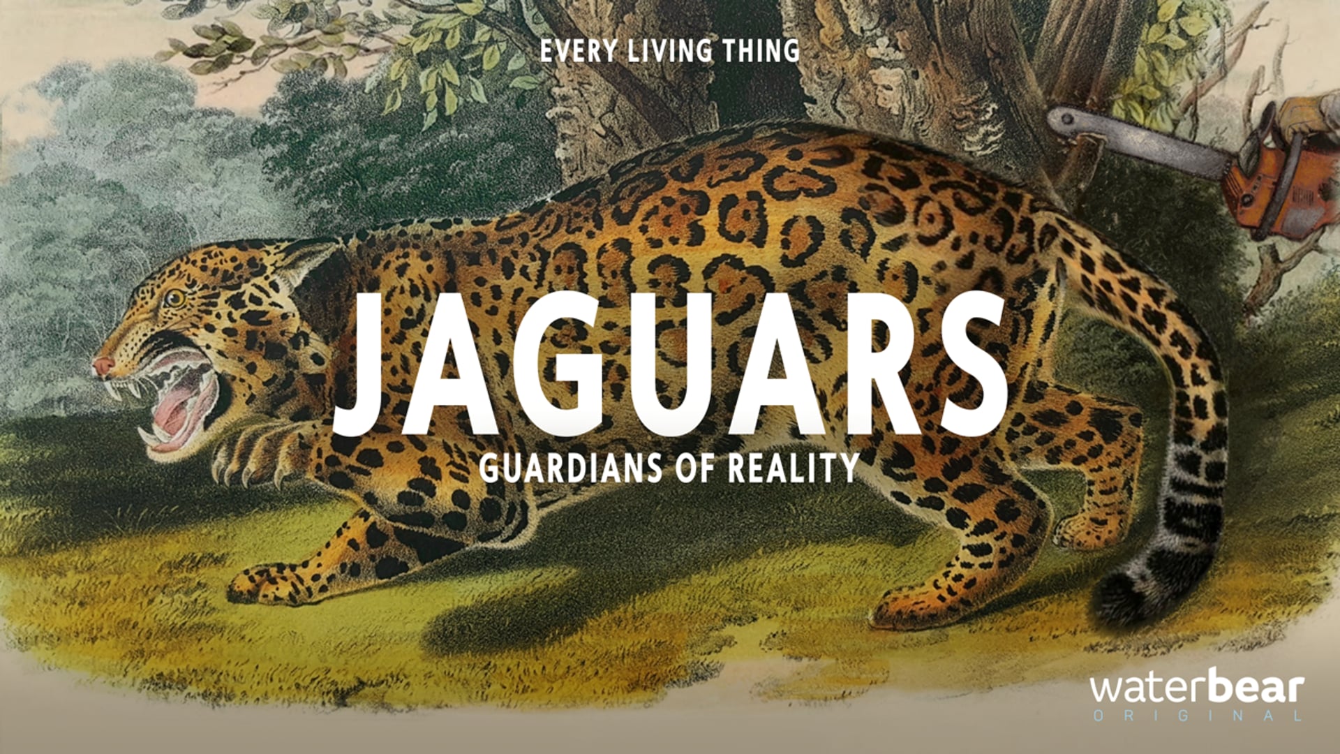 Jaguars - Guardians of Reality