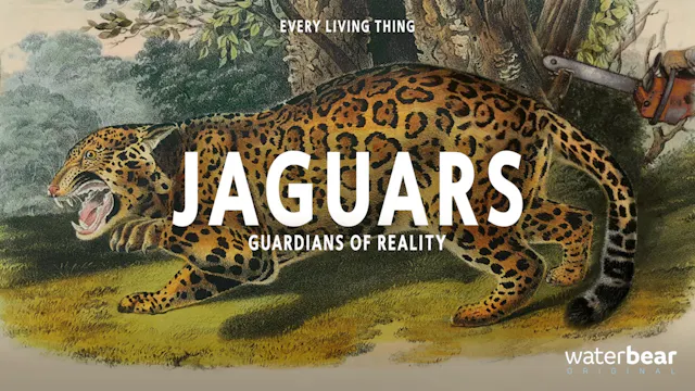 Jaguars - Guardians of Reality