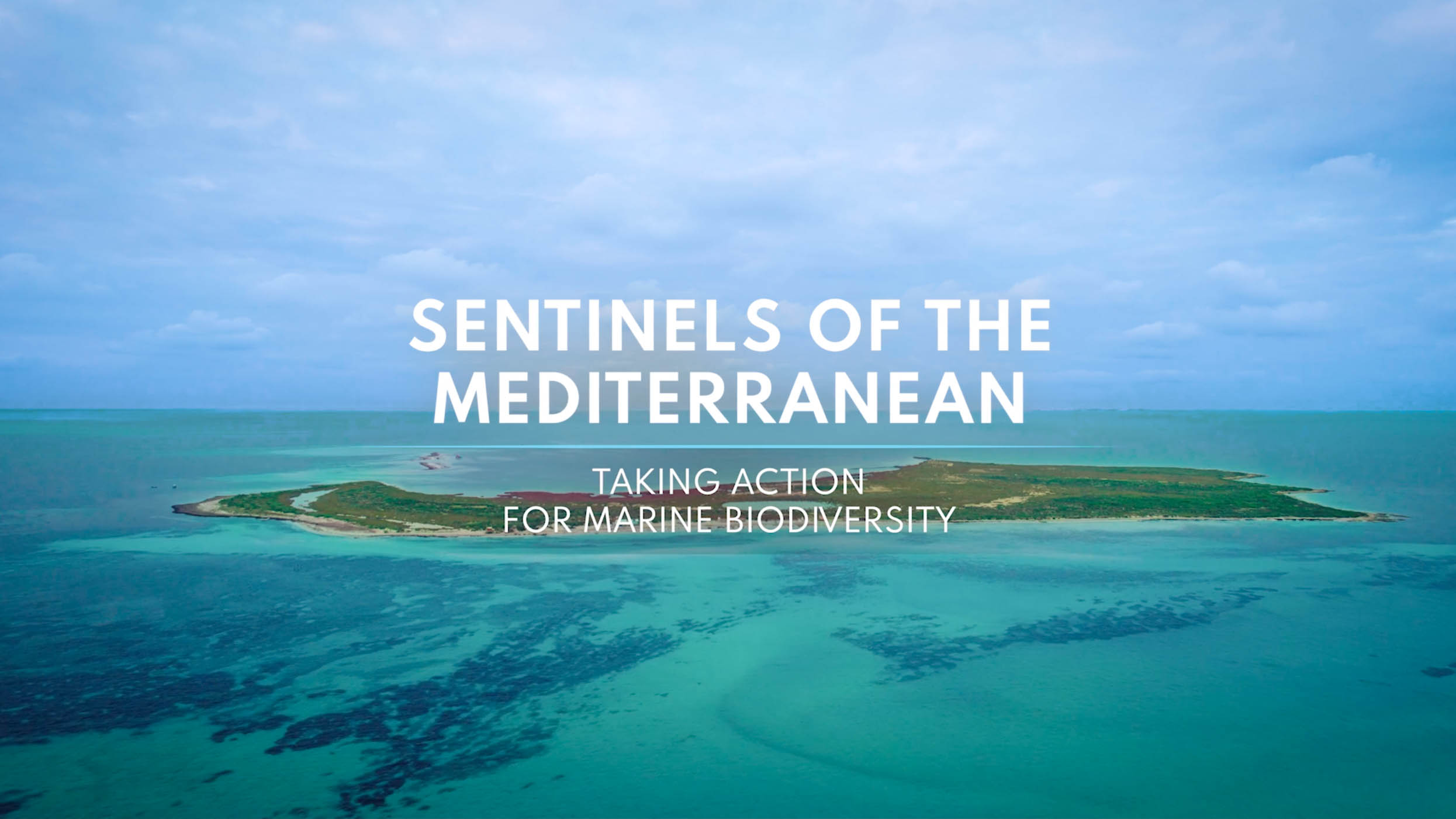 Sentinels of the Mediterranean: Acting for Marine Biodiversity