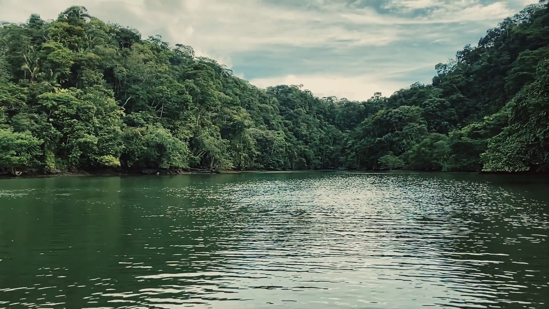 Déjame respirar / Let Me Breathe Music Video