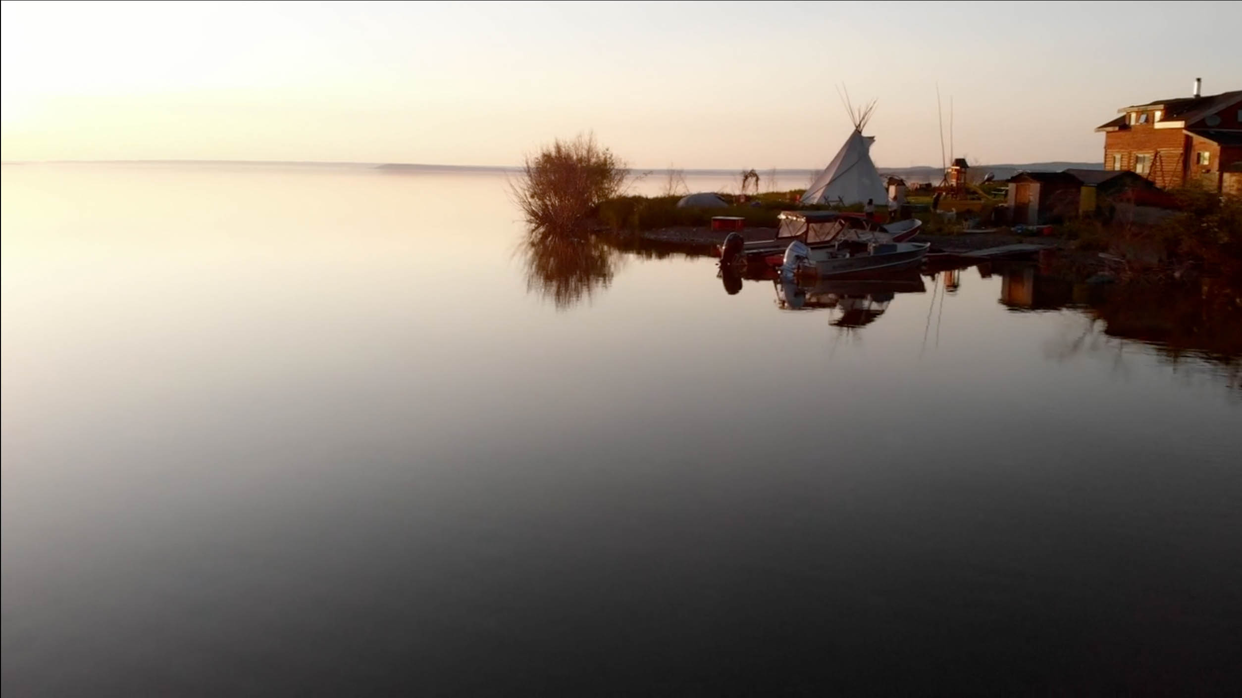 Watch for Impact: Stories that Regenerate