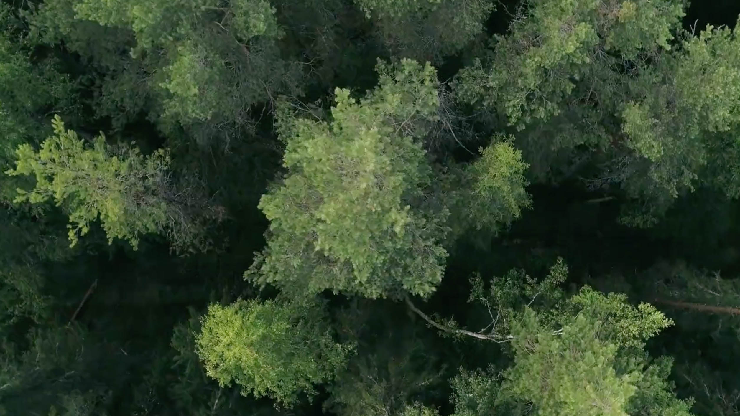 Europe's Secret Eden: Polesia