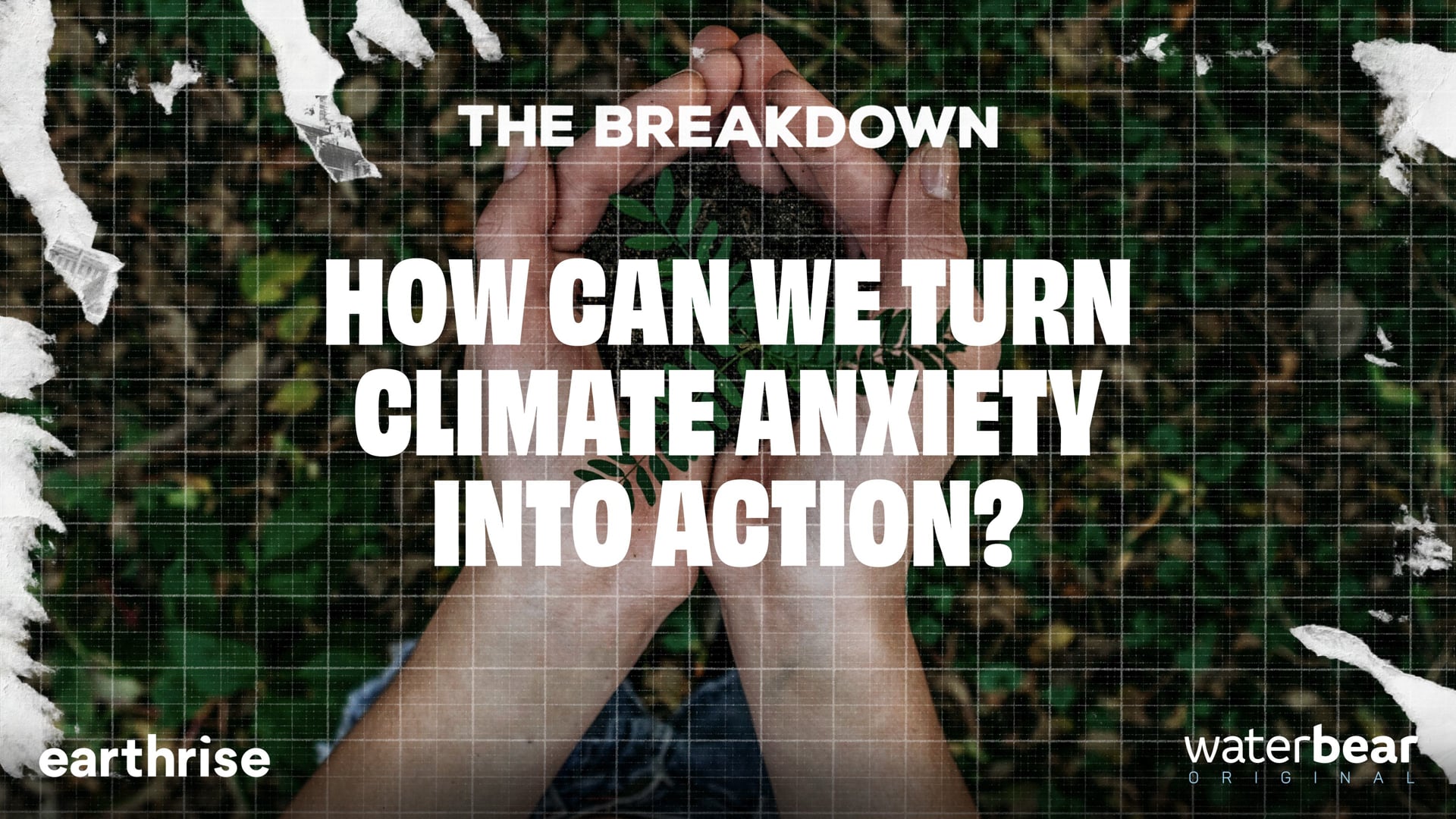 How Can We Turn Climate Anxiety into Action?