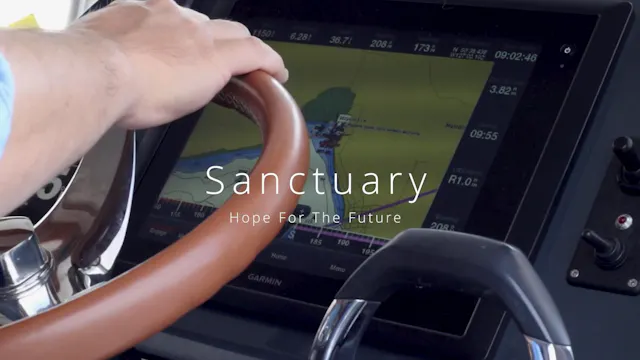 Sanctuary: Hope for the Future