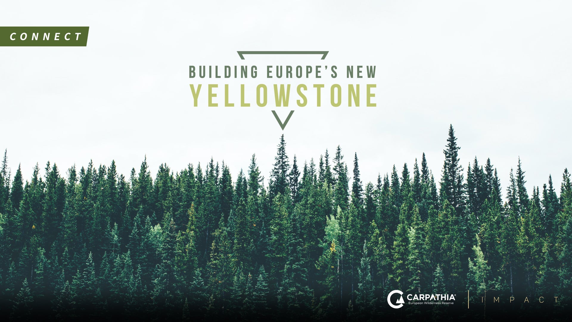 Building Europe's Yellowstone