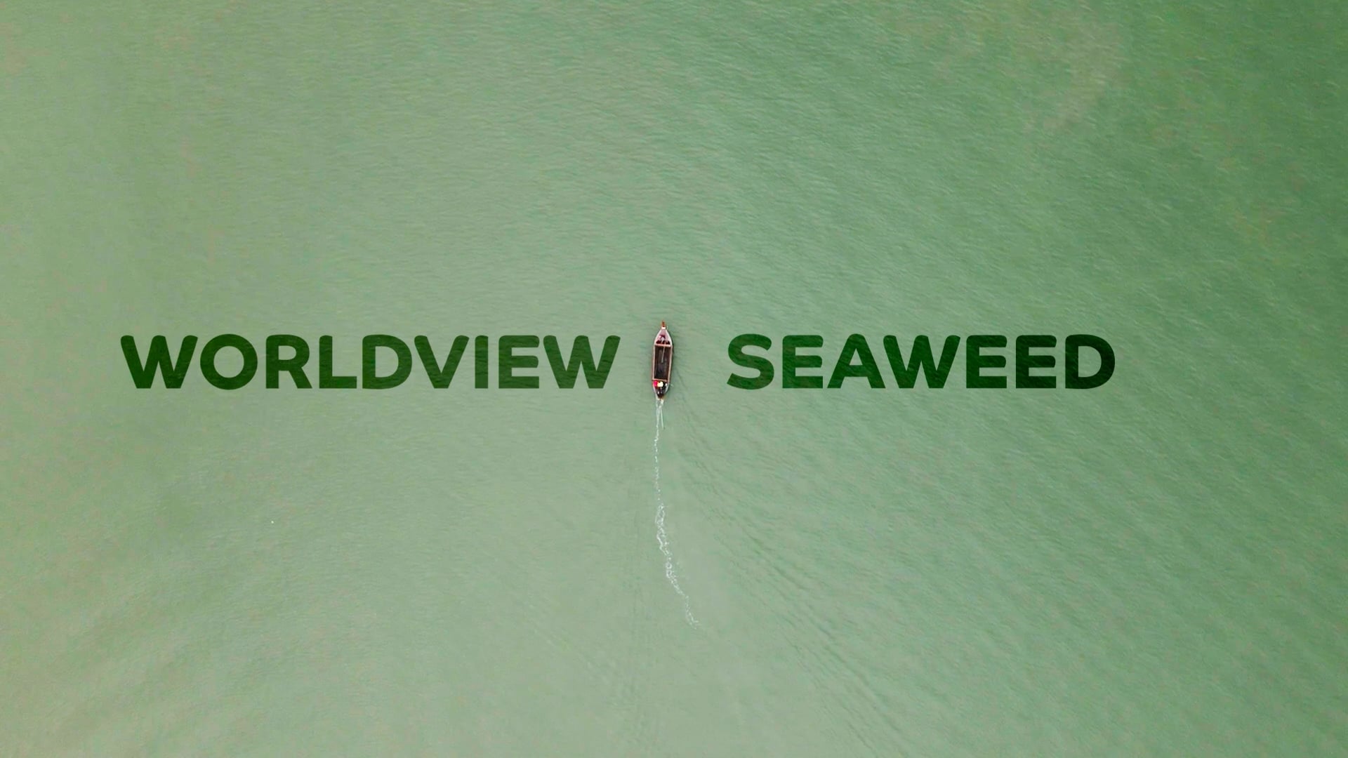 Worldview Seaweed