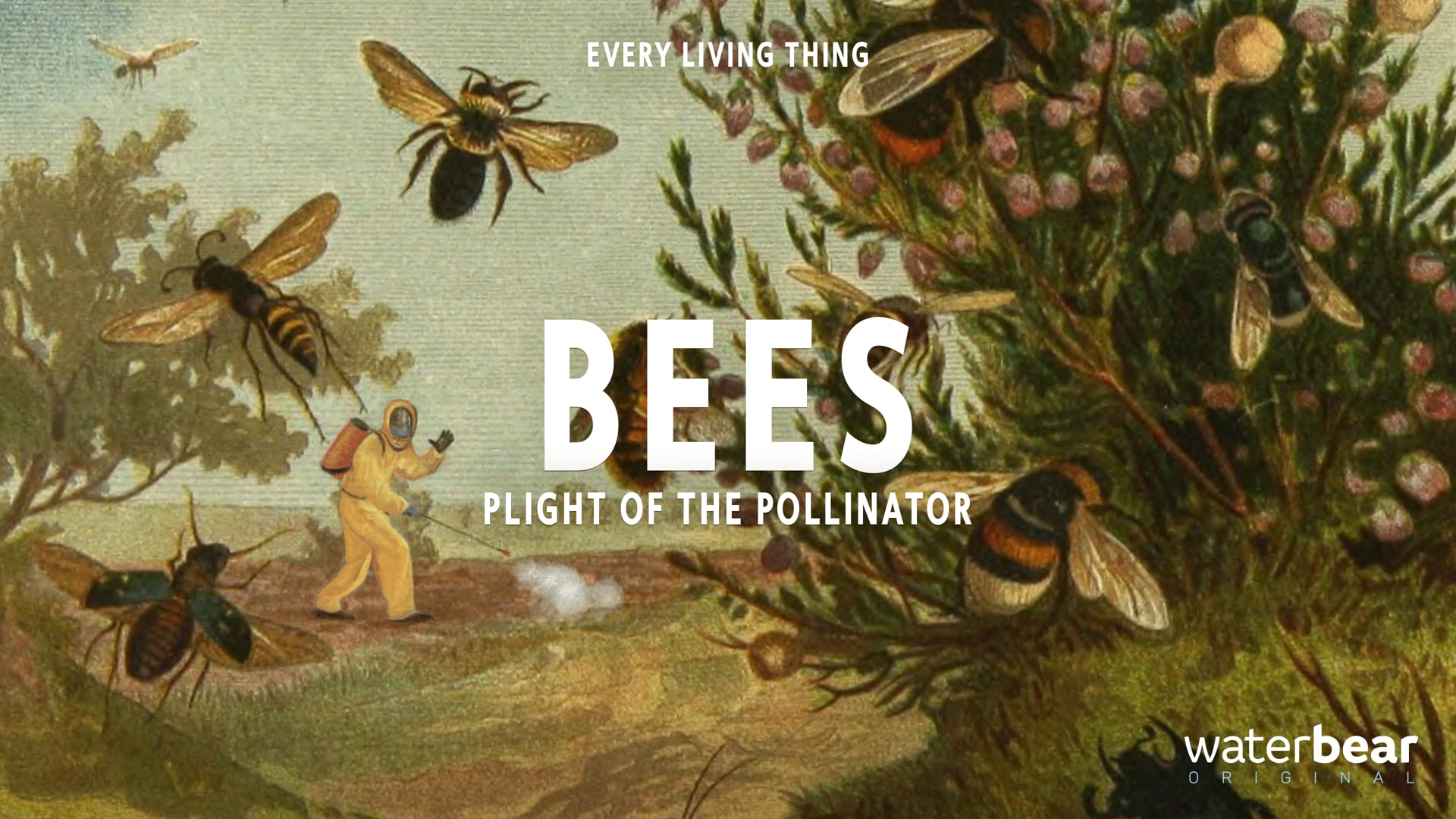 Bees - Plight of the Pollinator