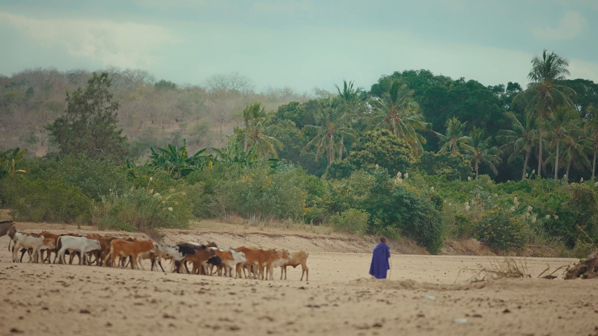 Yatapita