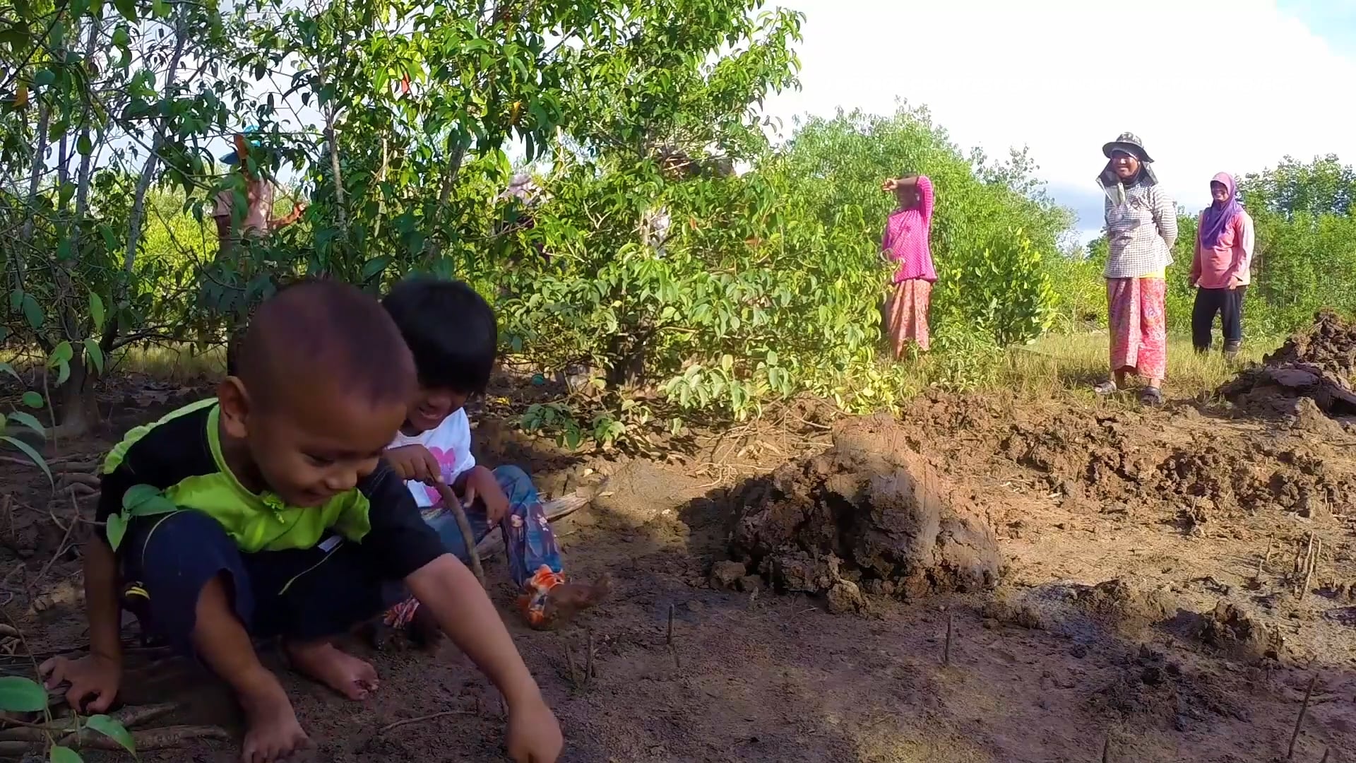 Mangroves Action Project & Leo Thom