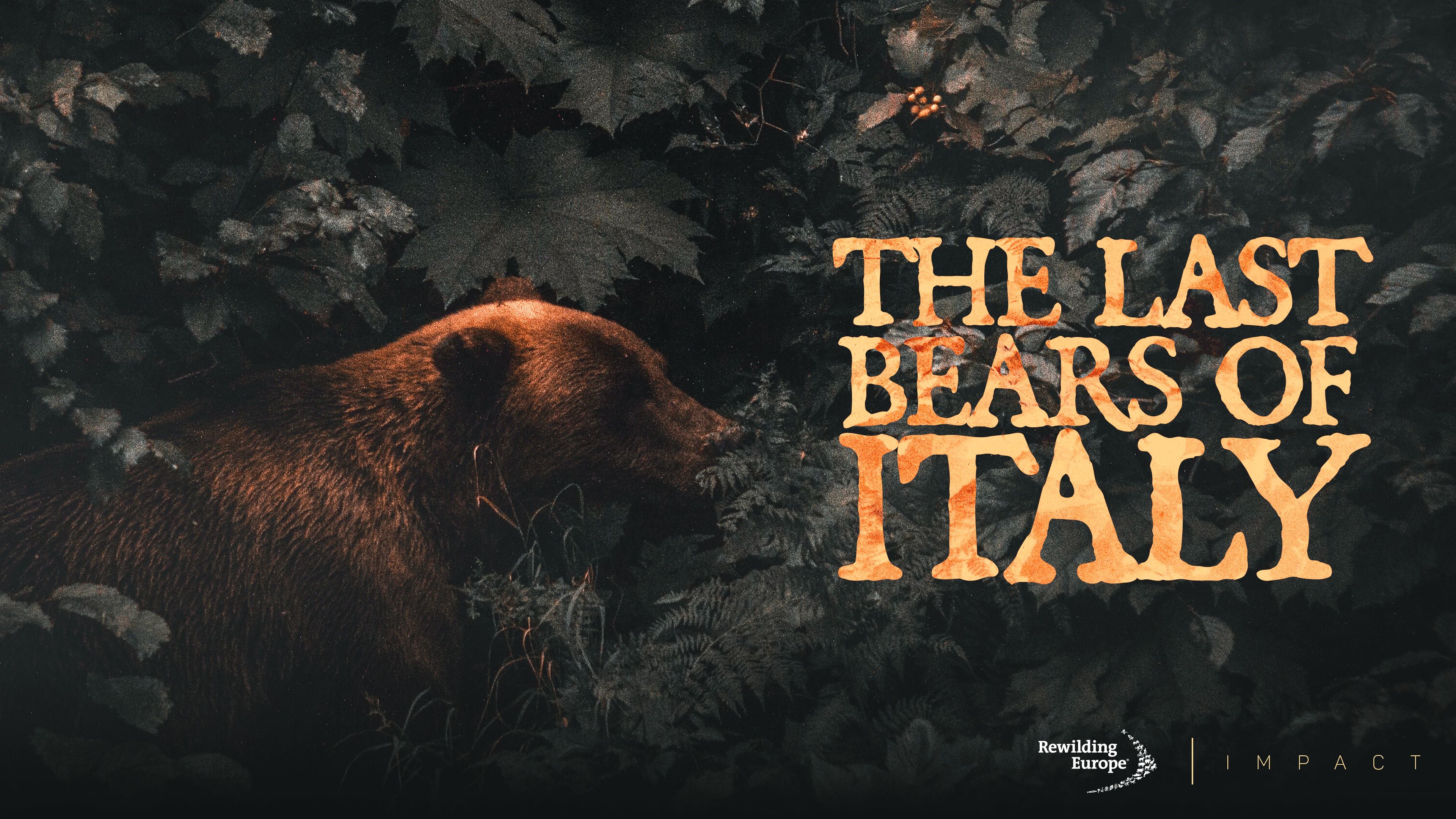 The Last Bears of Italy