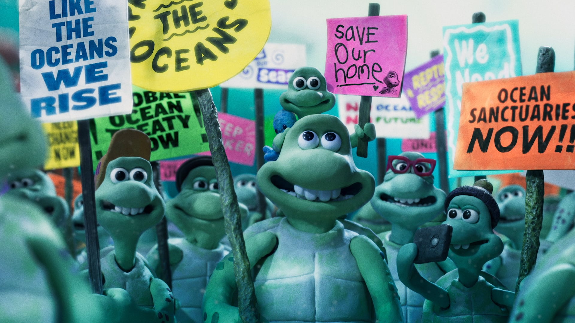 Turtle Journey