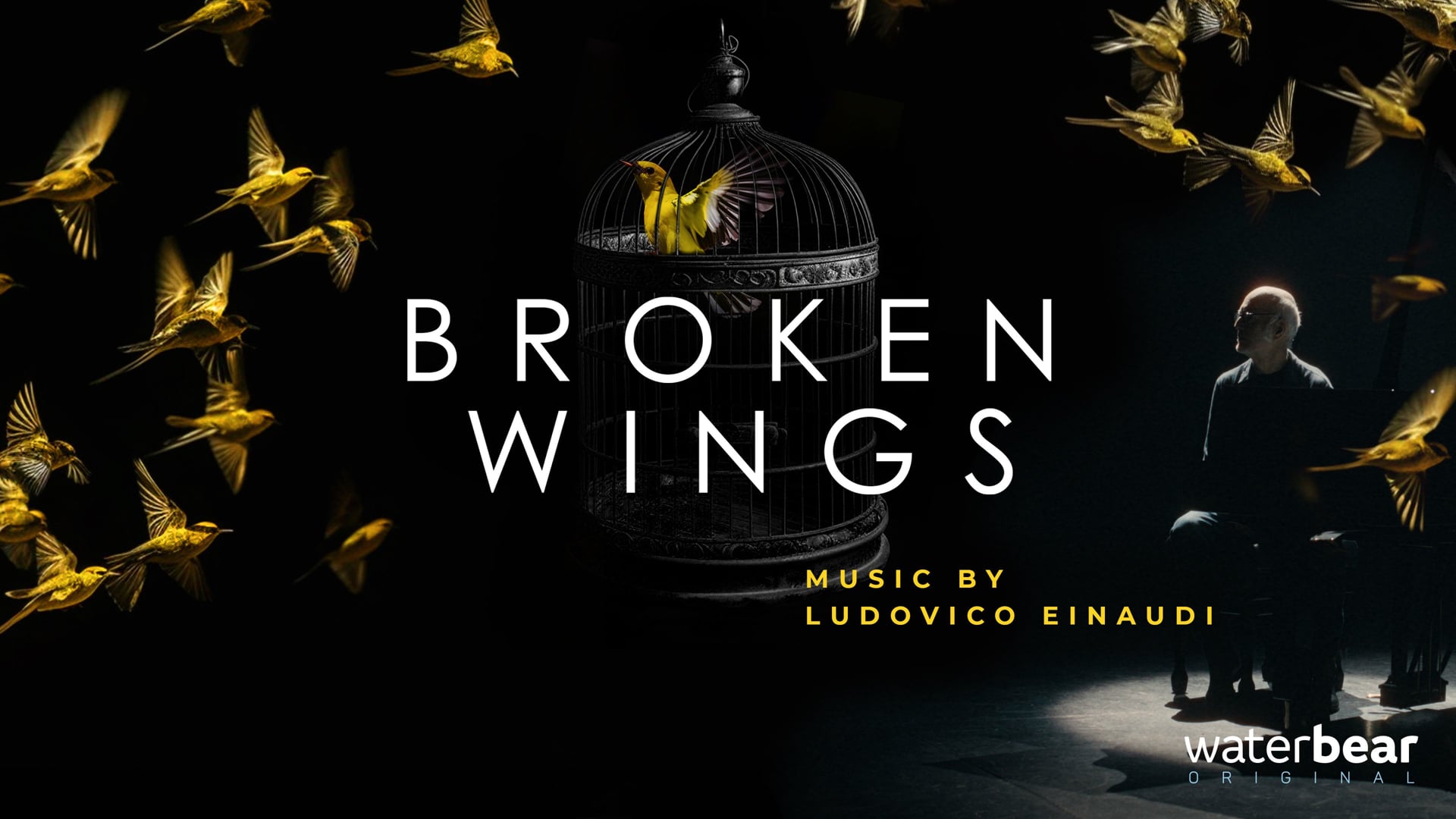 Broken Wings
