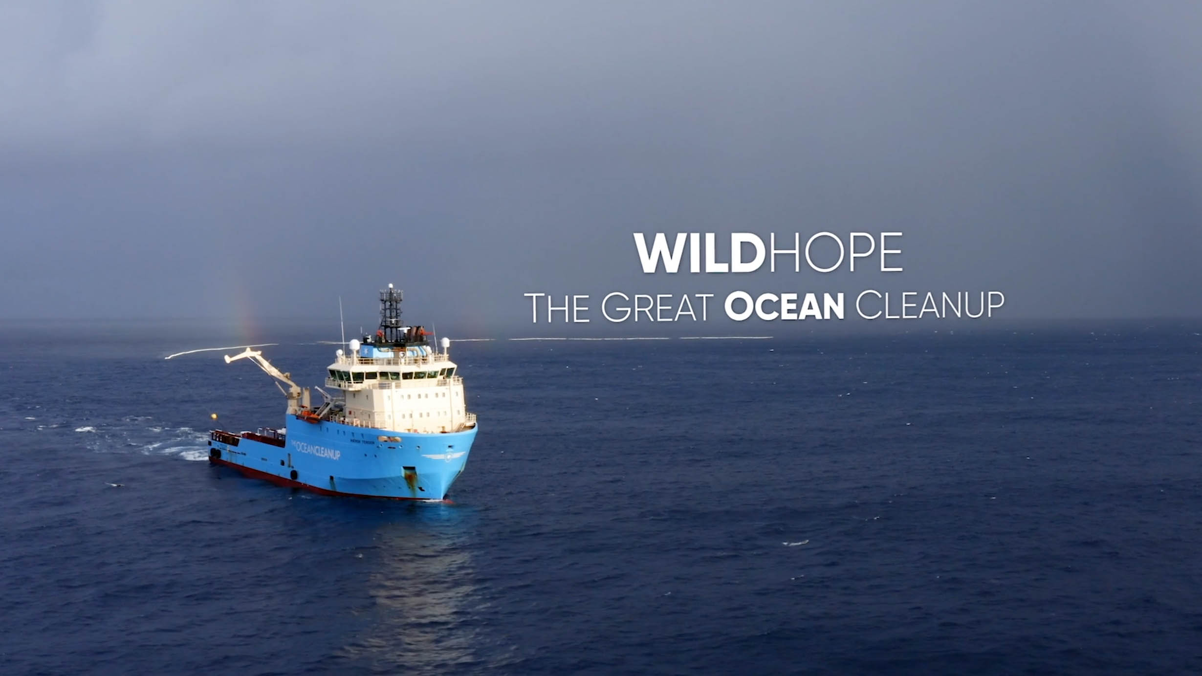 Wild Hope