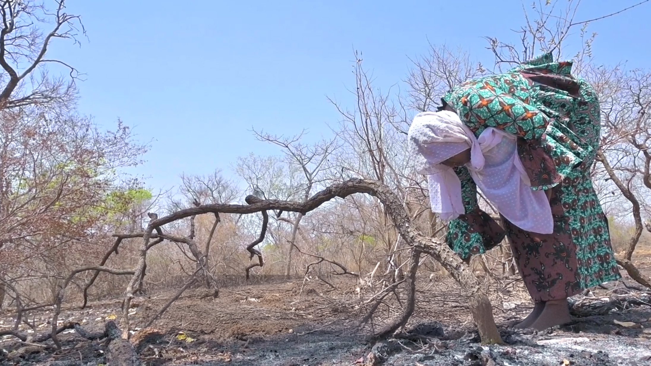 S.O.S: Restoring the Baoule Reserve