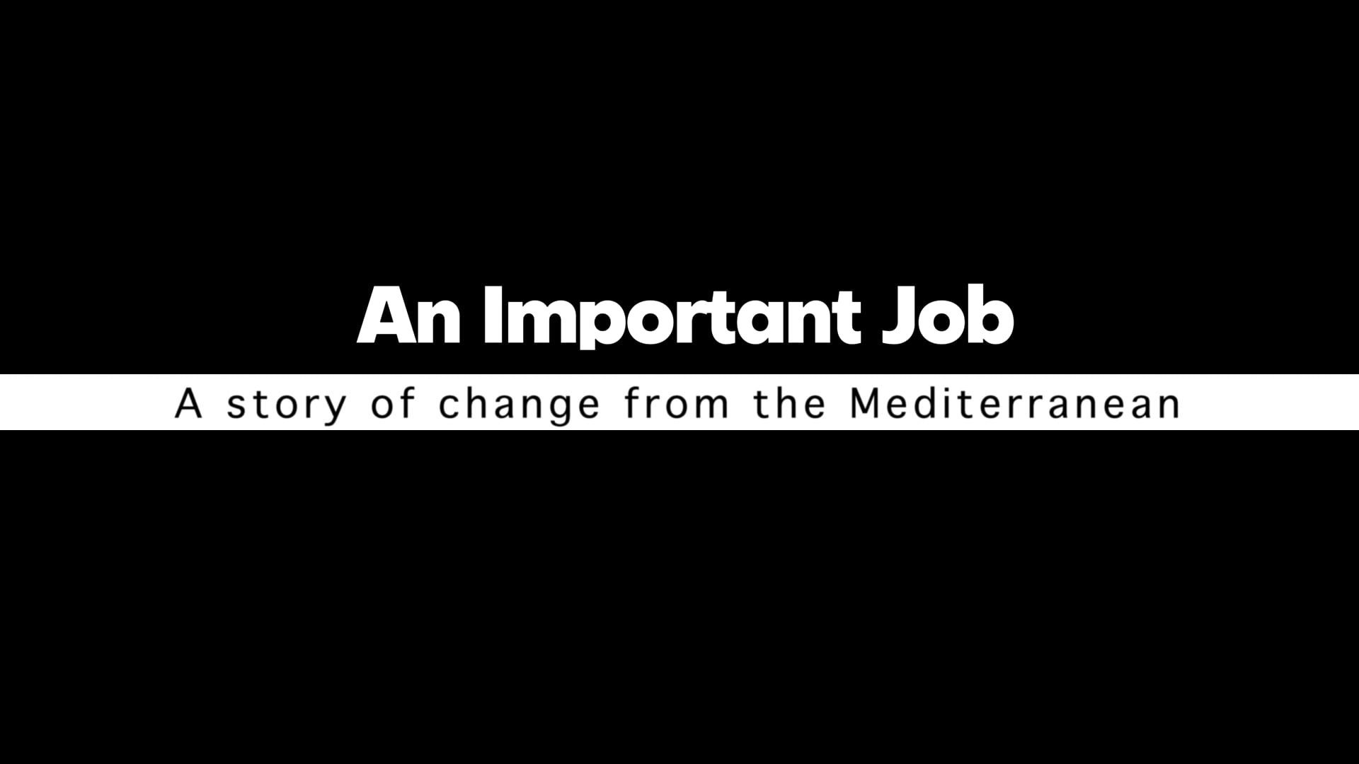 An Important Job
