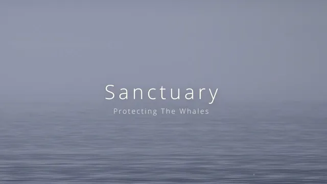 Sanctuary: Protecting the Whales