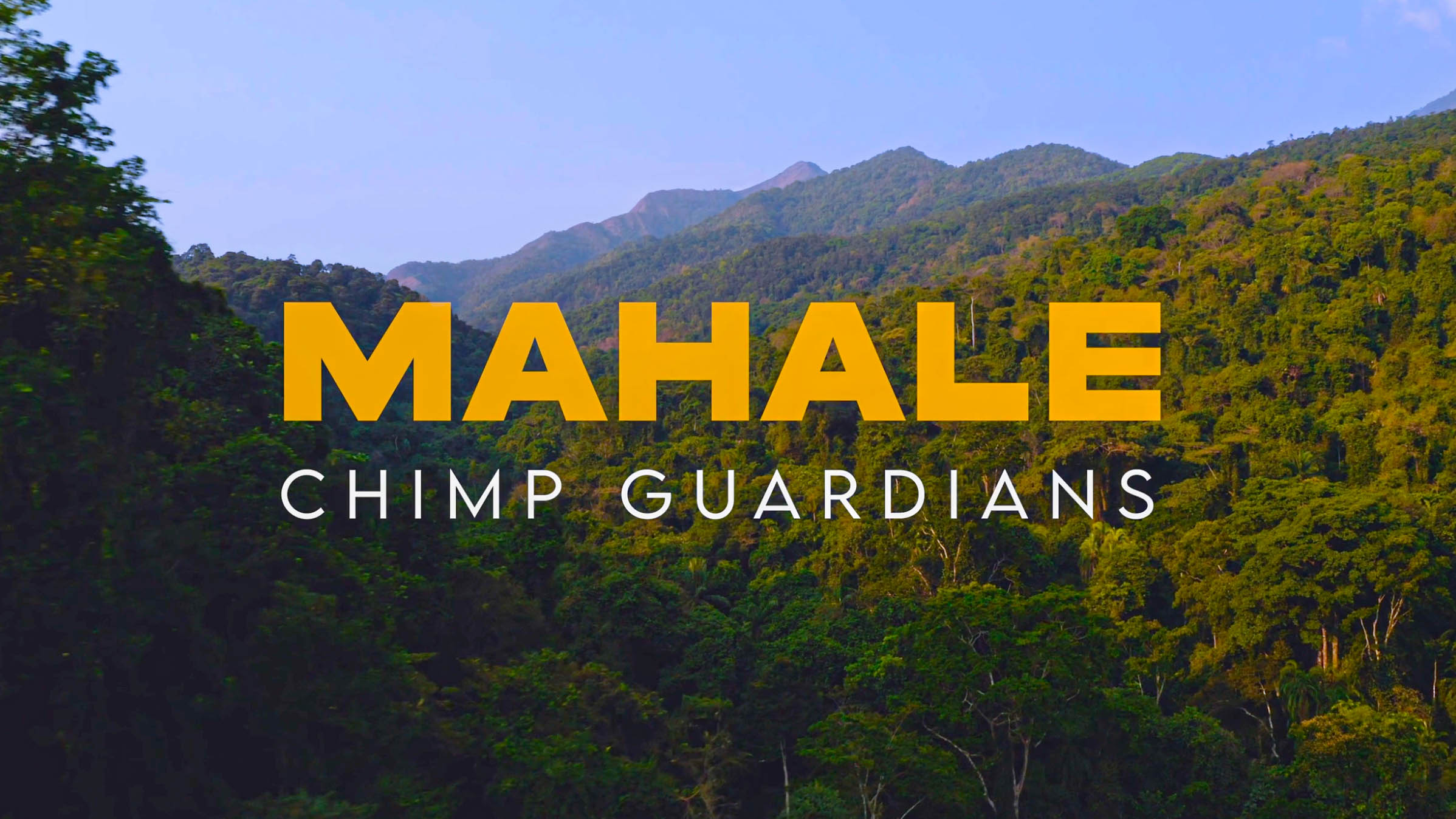 Mahale Chimp Guardians