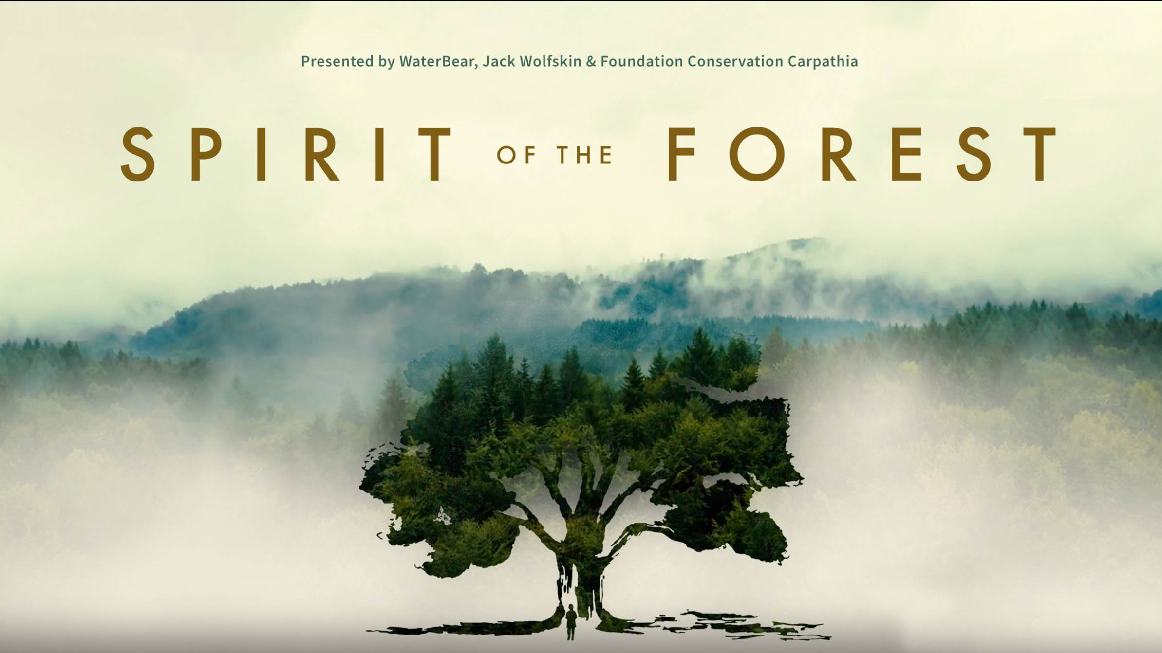 Spirit of the Forest