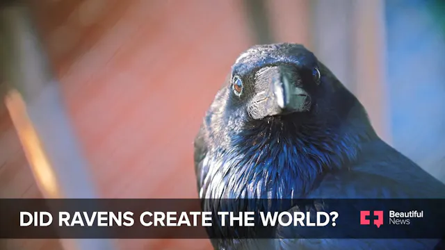 Ravens