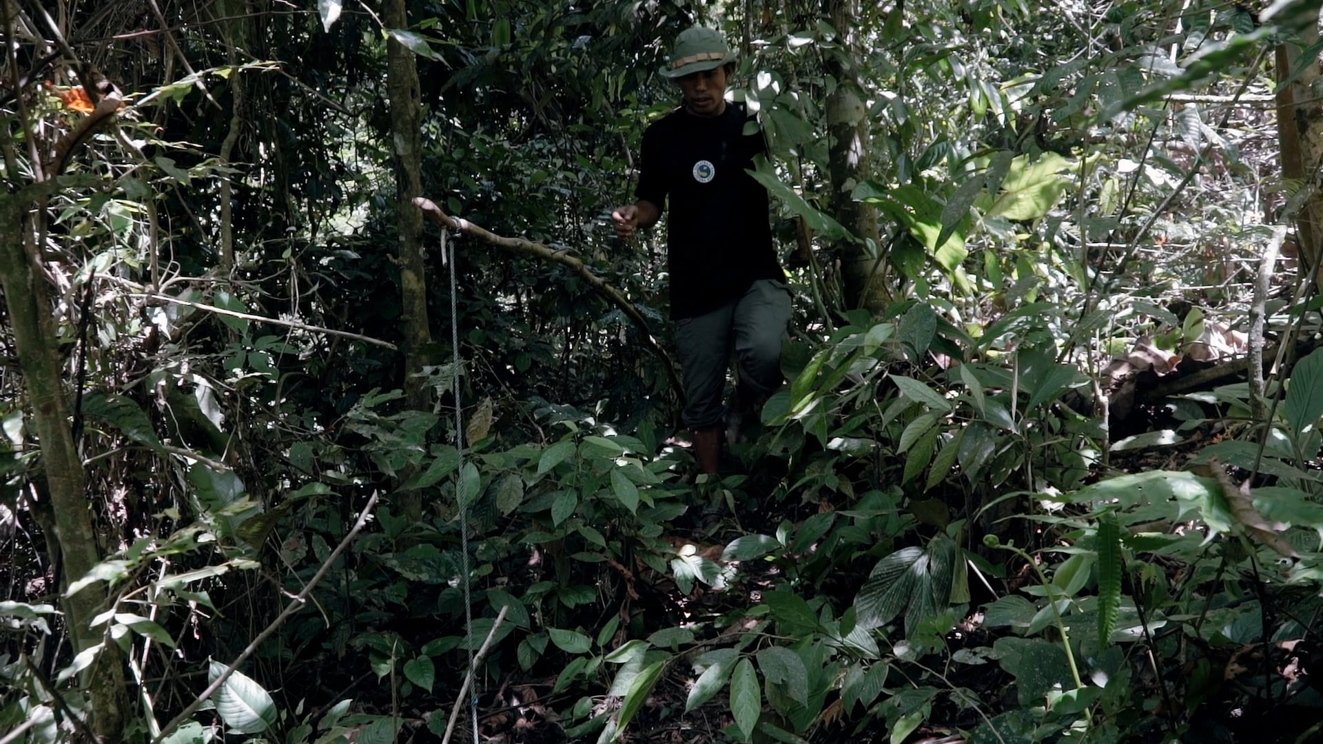 Keepers of the Forest