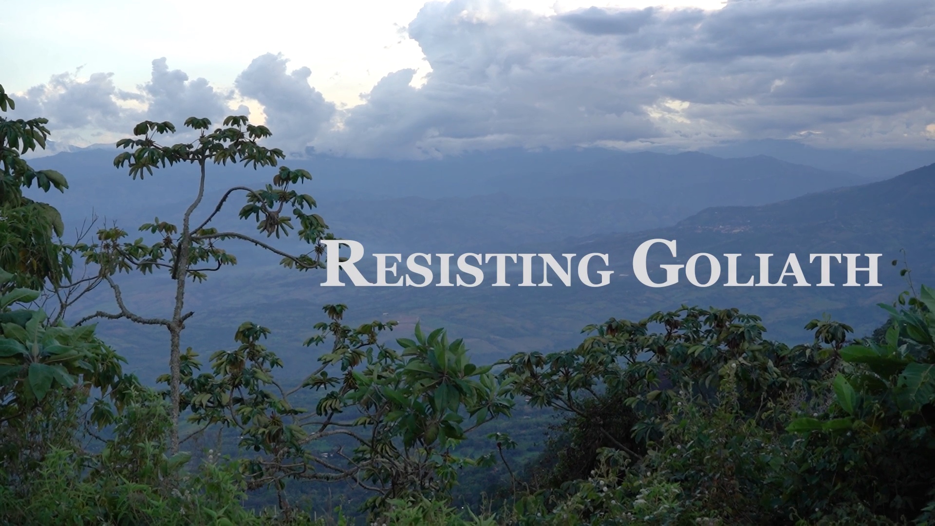 Resisting Goliath: How to Save Your Home