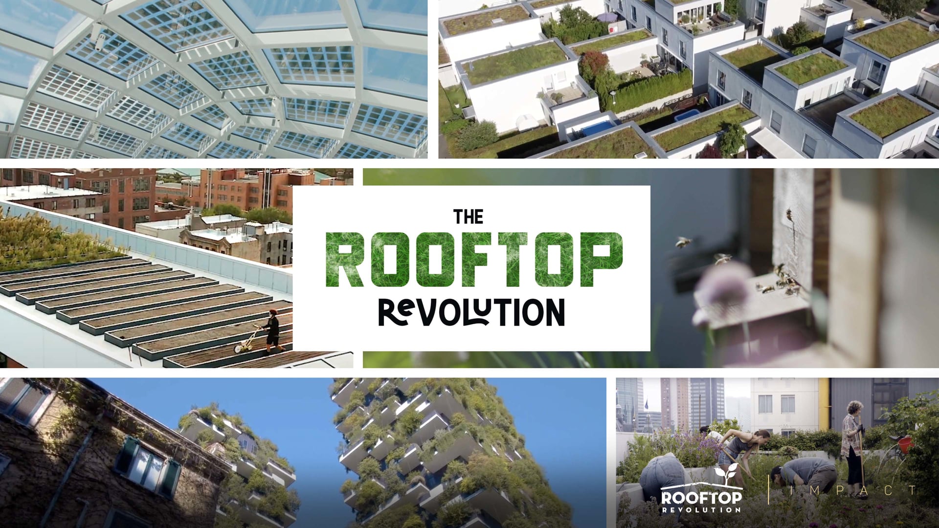 The Rooftop Revolution