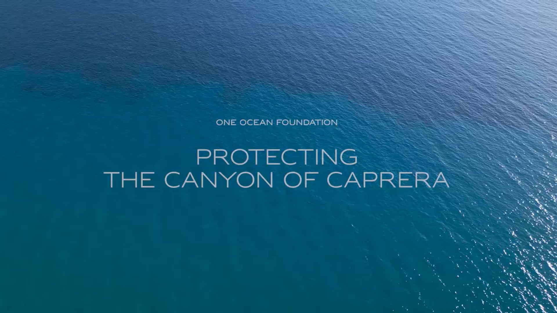One Ocean Foundation: The Caprera Canyon