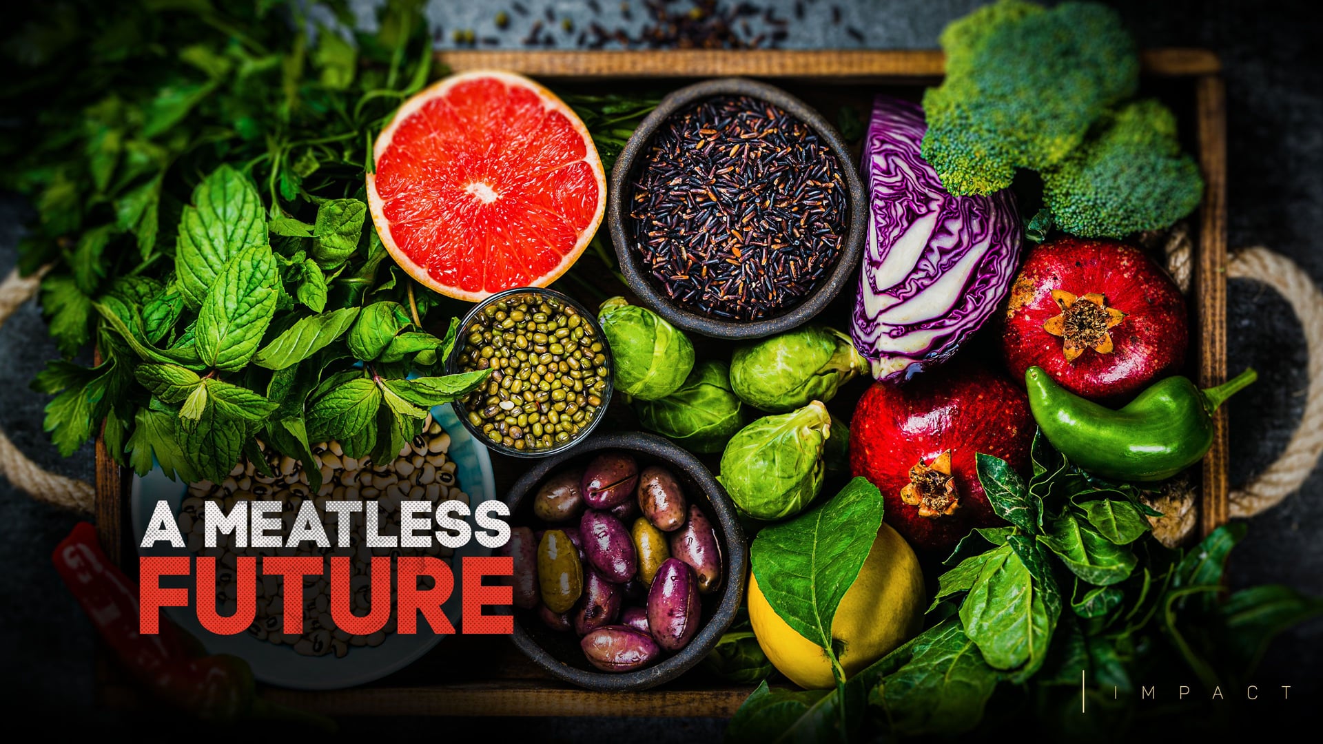 A Meatless Future